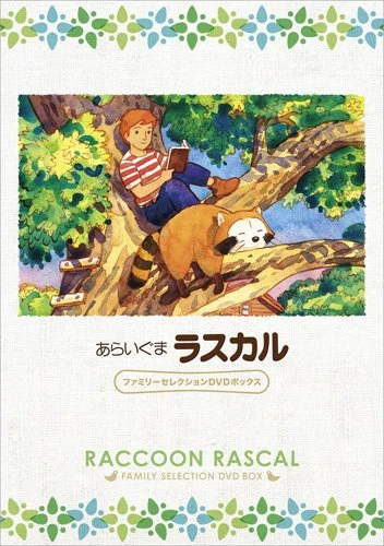 Anime: Rascal, el mapache