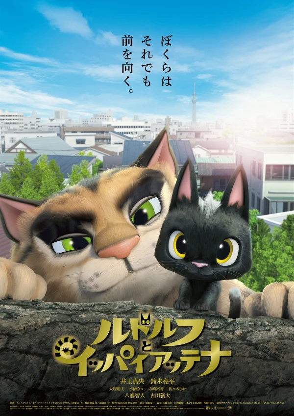Anime: Gatos: Un Viaje De Vuelta A Casa