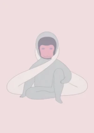 Anime: Veil