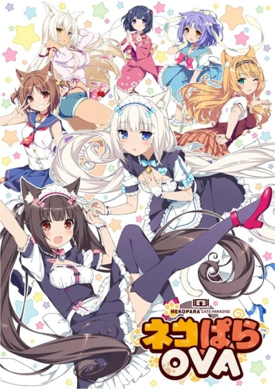 Anime: Nekopara OVA