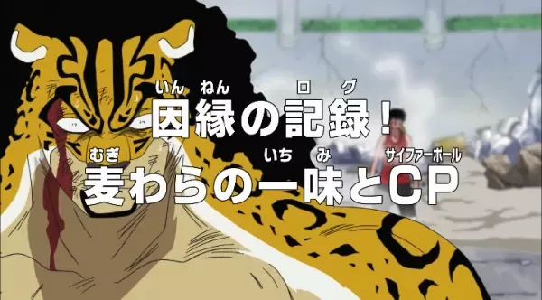 Anime: One Piece: ¡Archivo de rivalidad! Los Sombrero de Paja contra el Cipher Pol