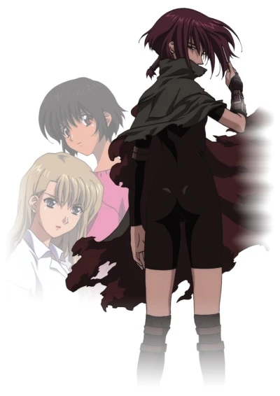 Anime: Noir Music Video