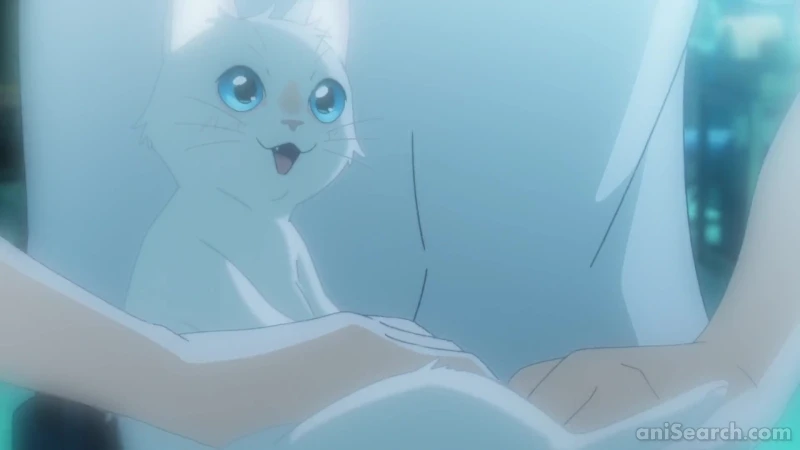 Amor de gata ♡  Amor de gato, Gatos, Anime estético