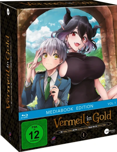 Vermeil in Gold - Vol. 1/3: Limited Mediabook Edition [Blu-ray] + Sammelschuber
