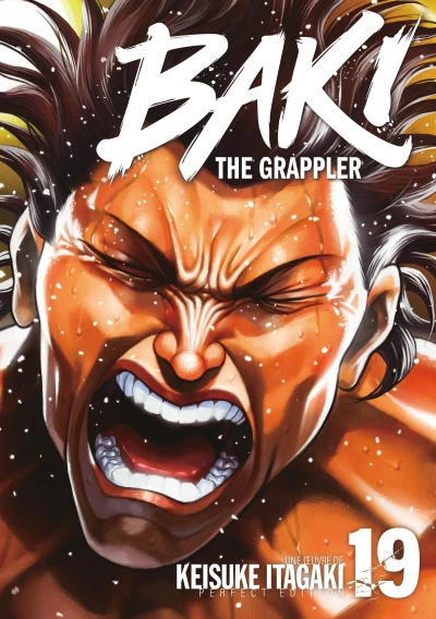 Baki the Grappler : Perfect Edition - T. 19