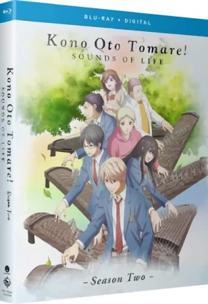 Kono Oto Tomare! Sounds of Life: Season 2 [Blu-ray]