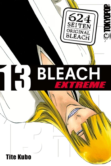 Bleach EXTREME - Bd. 13