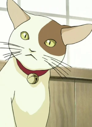 Wakaba