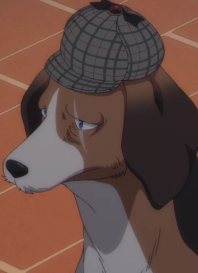 Fido