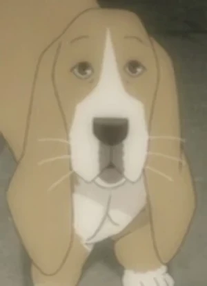 Personaje: Sasakura's Dog