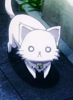 Personaje: Neko  [Cat Form]