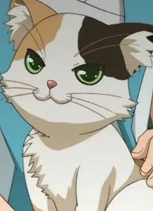 Personaje: Calico Cat