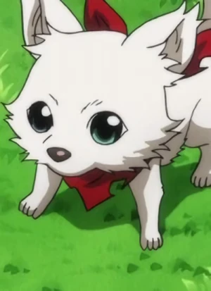 Personaje: Momoo INUGAMI [Dog]