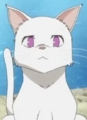 Personaje: Himari NOIHARA [Cat Form]