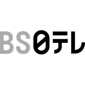 Empresa: BS Nippon Corporation