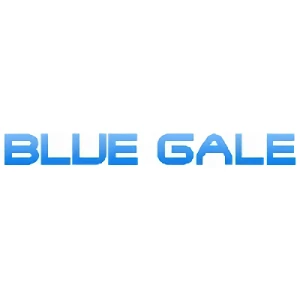 Empresa: Blue Gale Co., Ltd.
