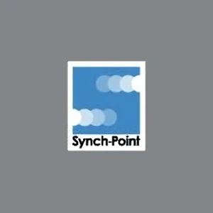 Empresa: Synch-Point