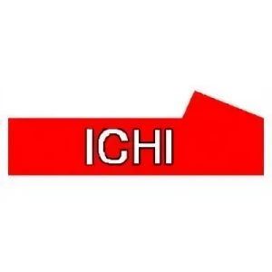Empresa: ICHI Corporation