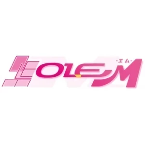 Empresa: OLE-M