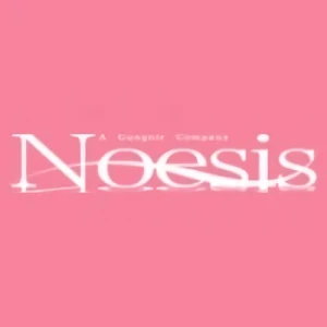 Empresa: Noesis