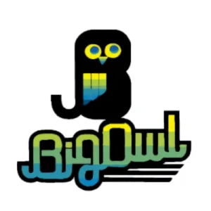 Empresa: Big Owl