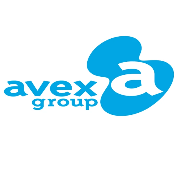 Empresa: Avex Group Holdings Inc.