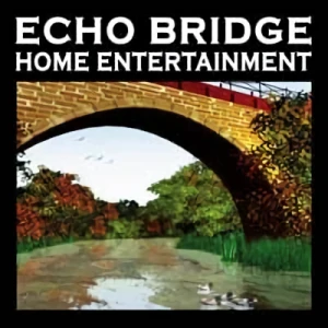 Empresa: Echo Bridge Acquisition Corp. LLC