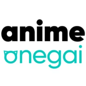 Empresa: Anime Onegai S. de R.L. de C.V.