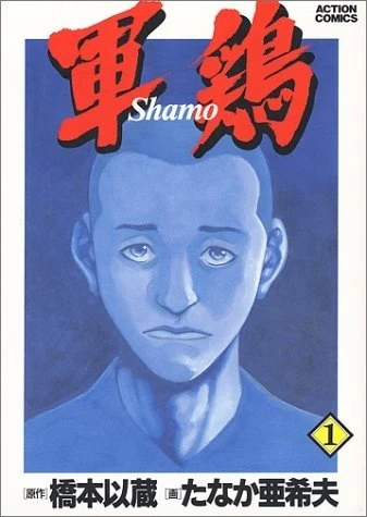 Manga: Shamo, Gallo de Pelea