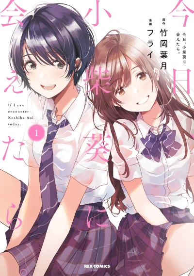 Manga: Persiguiendo a Aoi Koshiba