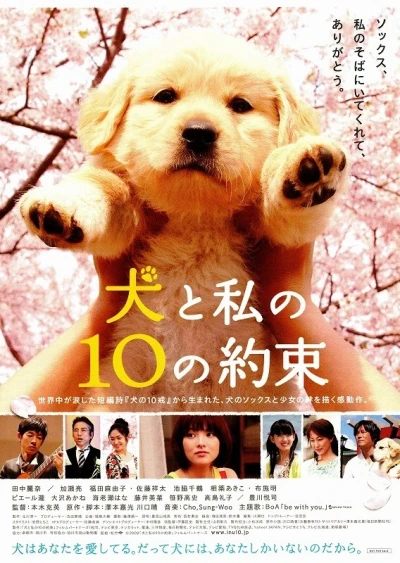 Película: 10 Promises to My Dog