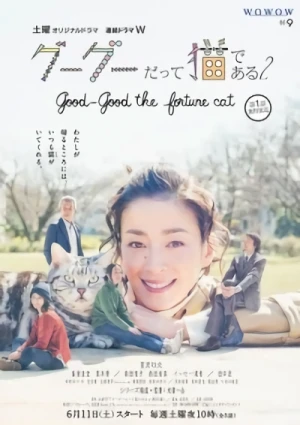 Película: Gou-Gou datte Neko de Aru 2
