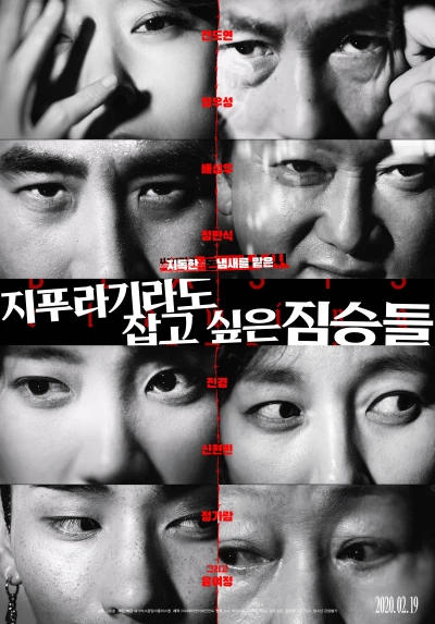 Película: Beasts Clawing at Straws