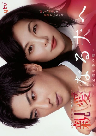 Película: Shin’ai naru Otto e: Kanpeki na Tsuma no Uso