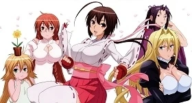 Noticias: „Sekirei“-Anime erhält DVD-Gesamtausgabe