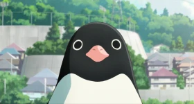 Noticias: „Penguin Highway“-Review: Limited Edition Blu-ray von Kazé