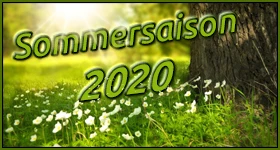 Noticias: Simulcast-Übersicht Sommer 2020